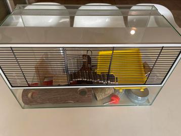 Glazen terrarium knaagdieren 60x35x30cm beschikbaar voor biedingen