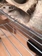 Hamster met kooi + asesoicer, Dieren en Toebehoren, Ophalen