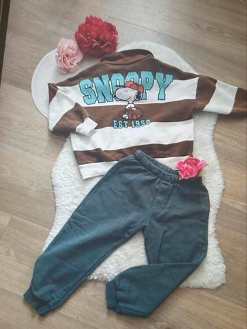 Leuke zara aetjes te koop beschikbaar voor biedingen
