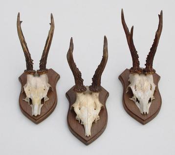 3 x REE GEWEI op eikenhouten schild -  set K beschikbaar voor biedingen