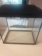 Petit aquarium Superfish de 28 litres à vendre !, Enlèvement, Comme neuf, Aquarium vide