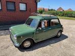 galerie de toit pour Classic Mini, Autos : Pièces & Accessoires, Autres pièces automobiles, Enlèvement, Neuf, Mini