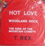 45T 7INCH VINYL SINGLE T. REX, Ophalen of Verzenden, Single