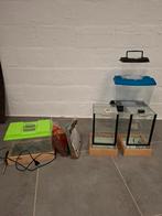 Terrarium s en toebehoren, plastic en glas met verwarming, Ophalen, Gebruikt