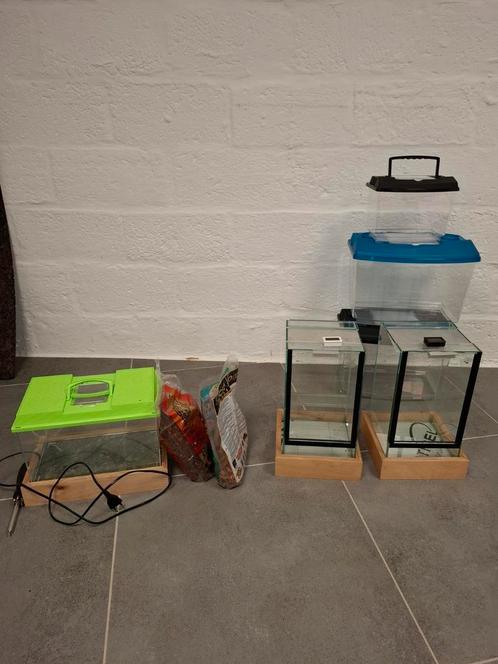 Terrarium s en toebehoren, plastic en glas met verwarming, Tuin en Terras, Kweekspullen, Gebruikt, Ophalen