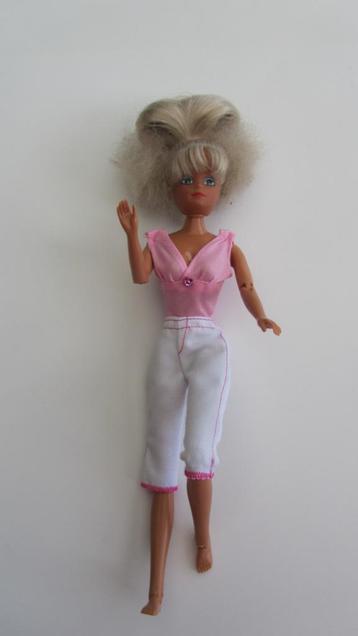 Simba Steffie love beschikbaar voor biedingen