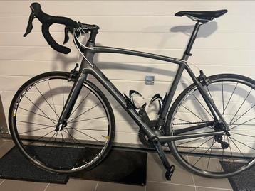 Racefiets Koga, Ophalen, Gebruikt, Carbon, 57 tot 61 cm