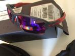 Oakley Flak 2.0 XL gris mat Smoke Prizm, Bijoux, Sacs & Beauté, Lunettes de Soleil & Lunettes | Hommes, Enlèvement ou Envoi, Neuf