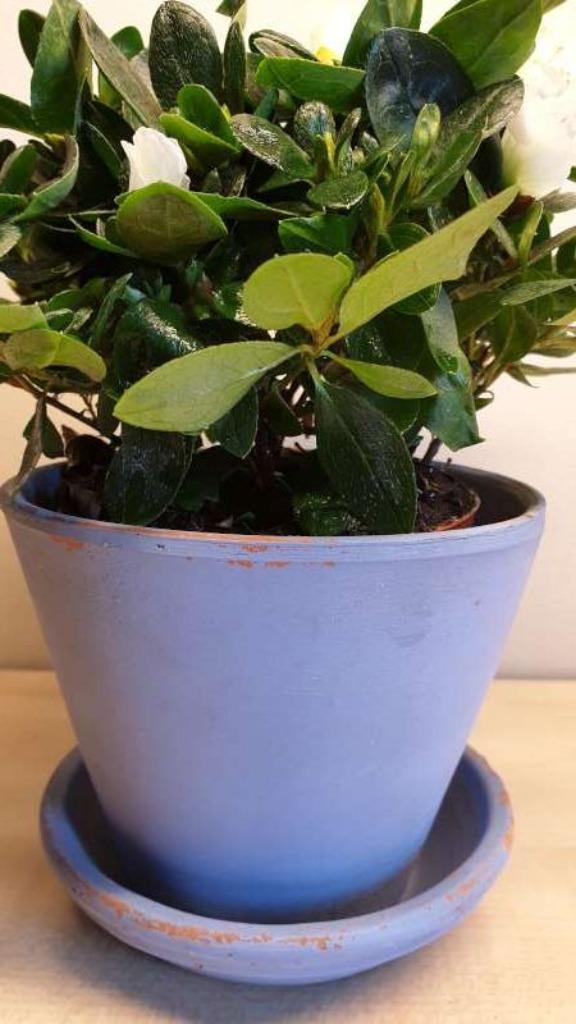 Bloempot, blauw beschilderd, hoogte 11cm, binnen diam 11,5cm, Tuin en Terras, Bloempotten, Binnen, Ophalen