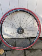 Achterwiel campagnolo body, Fietsen en Brommers, Ophalen, Gebruikt