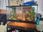 Terrarium, Dieren en Toebehoren, Reptielen en Amfibieën