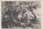 Pieter Paul RUBENS - Paysage avec une charrette de fermier, Comme neuf, Nature, 1940 à 1960, Envoi