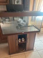 Aquarium, Ophalen, Gebruikt, Leeg aquarium