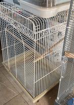Grande cage perroquet, Ophalen, Zo goed als nieuw