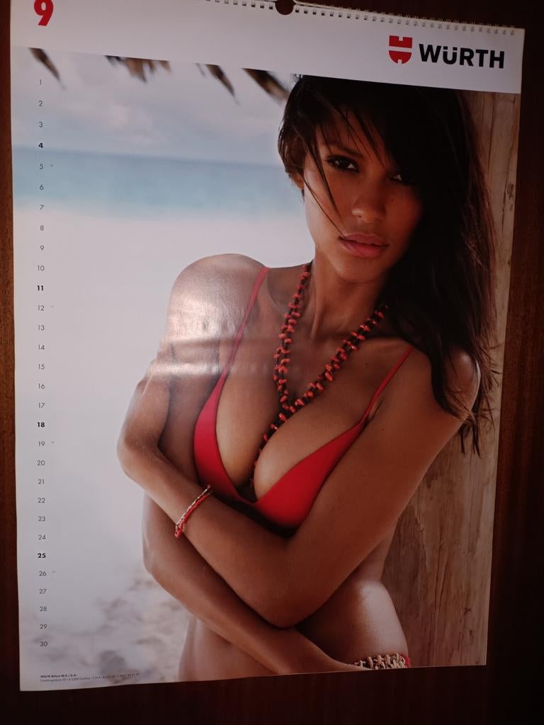 wurth kalender groot formaat. lot van 16 stuks, Diversen, Kalenders, Gebruikt, Maandkalender, Ophalen