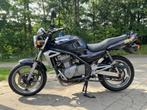 Kawasaki ER-5 nakedbike, Particulier