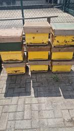 8 stuks 10 ramers simplex, Dieren en Toebehoren, Bijen