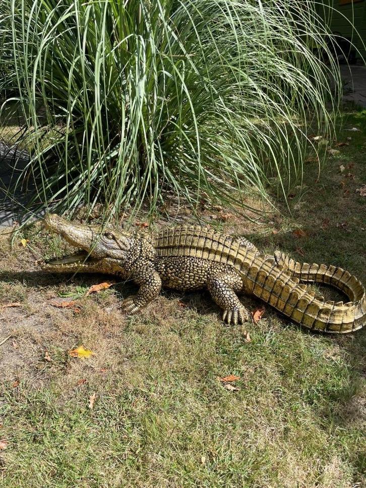 Beeld krokodil, tuin, zwembad, vijver, woonkamer 100cm, Tuin en Terras, Tuinbeelden, Nieuw, Dierenbeeld, Kunststof, Ophalen