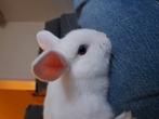 Konijntje, Dieren en Toebehoren, Vrouwelijk, Middelgroot, 0 tot 2 jaar