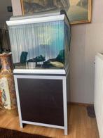 AQUARIUM FERPLAST + MEUBELSTUK + POMP COMPLEET, Ophalen