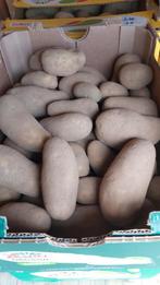 Aardappelen te koop. GOEDKOPER dan in de winkel, Diversen, Levensmiddelen, Ophalen of Verzenden