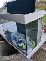 Juwel aquarium  met toebehoren, Dieren en Toebehoren, Ophalen, Zo goed als nieuw