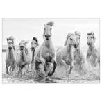 118x78 cm Tim Mannakee Paarden poster, Ophalen