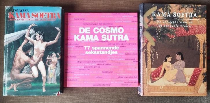 Kamasoetra x 3, Livres, Livres Autre, Enlèvement ou Envoi