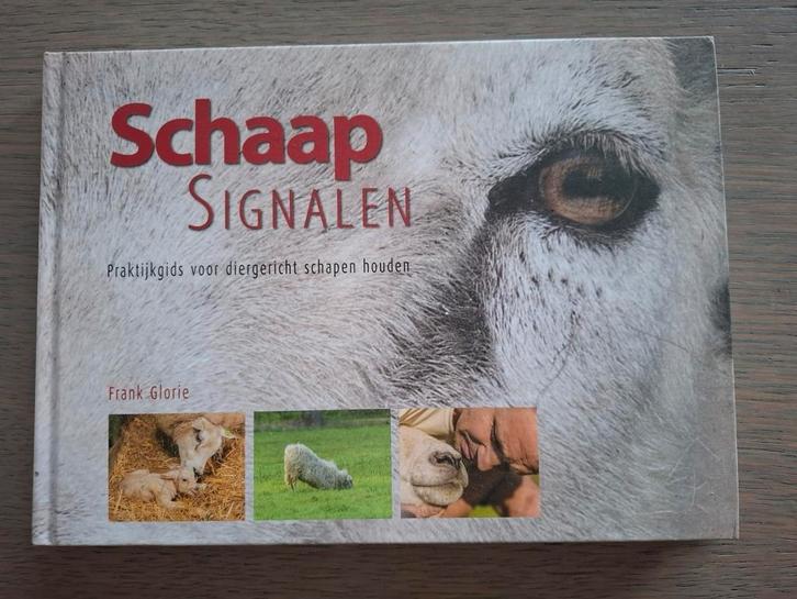 Berrie Klein Swormink - Schaapsignalen, Boeken, Wetenschap, Nieuw, Ophalen of Verzenden