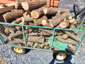 Bois de chauffage à donner gratuit à venir chercher  beschikbaar voor biedingen