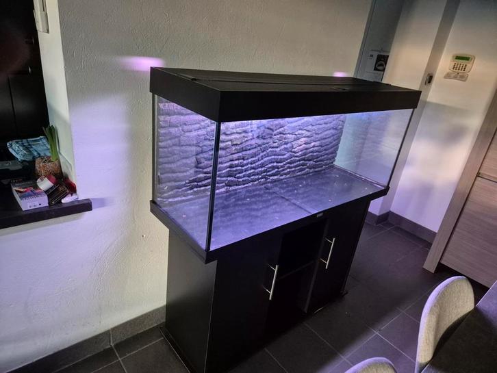 Aquarium juwel 240, Dieren en Toebehoren, Vissen | Aquaria en Toebehoren, Ophalen