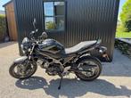 Suzuki SV 650 '24 met fabrieksgarantie, 2 cilinders, Particulier, Meer dan 35 kW, 650 cc