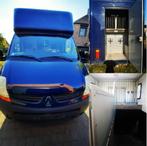 Paardencamionette te huur, Dieren en Toebehoren, Ophalen