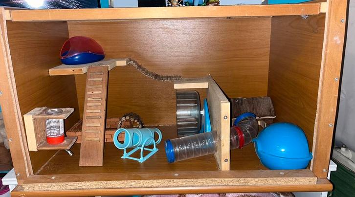 Hamsterkooi met of zonder spullen (kijk beschrijving), Dieren en Toebehoren, Knaagdieren en Konijnen | Hokken en Kooien, Zo goed als nieuw