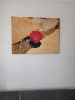 Cadre déco, Ophalen, Nieuw