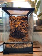 Terrarium, Dieren en Toebehoren, Ophalen, Gebruikt, Terrarium of Paludarium