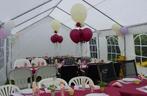 Party tent 4m x 8m, Tuin en Terras, Partytenten, Ophalen