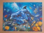 Puzzel Ravensburger 500 stukjes, Ophalen
