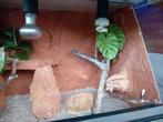Kleine ingerichte terrarium, Ophalen, Zo goed als nieuw, Verlichting