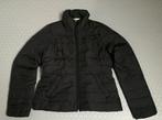 Winterjas, merk Hollister, maat M, Kleding | Dames, Maat 38/40 (M), Zwart, Ophalen of Verzenden, Zo goed als nieuw