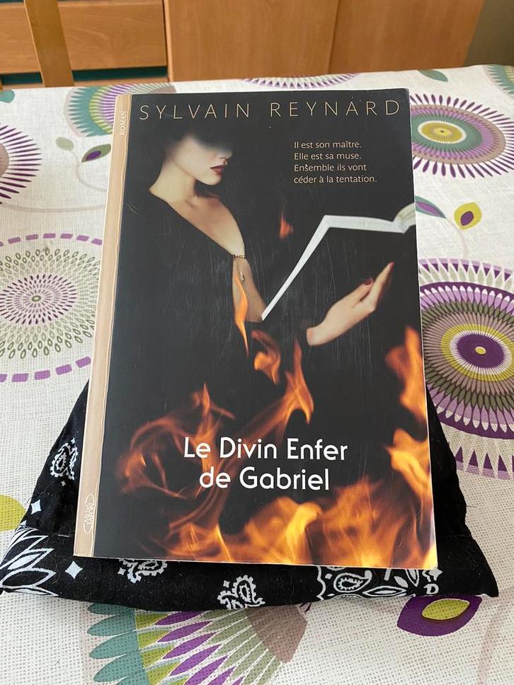 Le Divin Enfer de Gabriel - Sylvain Reynard roman, Livres, Romans, Enlèvement ou Envoi