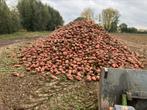 Bieten te koop 40€/ton, Zakelijke goederen, Landbouw | Veevoer, Ophalen