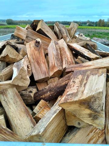  brandhout  te koop  beschikbaar voor biedingen