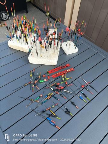 Dobbertjes  beschikbaar voor biedingen