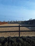 Pensionstal, Weidegang