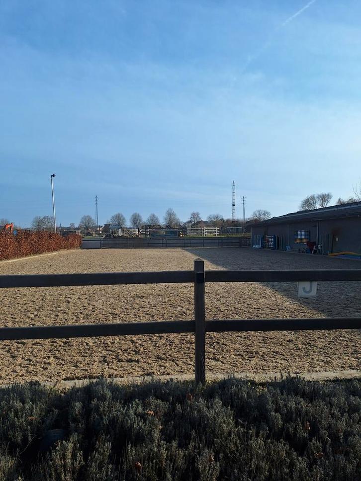 Pensionstal, Animaux & Accessoires, Box & Pâturages, Pâturage