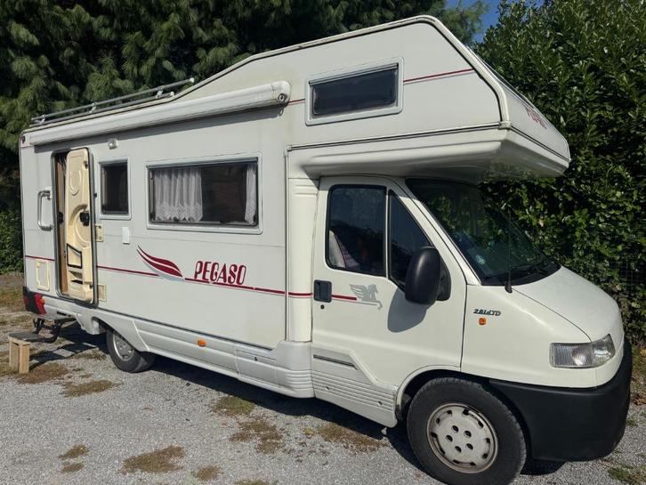 Pegaso Fiat 2,8idtd, Caravans en Kamperen, Mobilhomes, Bedrijf, meer dan 6, Alkoof, Fiat, Fiat, Diesel, Handgeschakeld, Douche