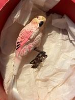 Perruche boule de Noël, verre peint, Divers, Enlèvement ou Envoi