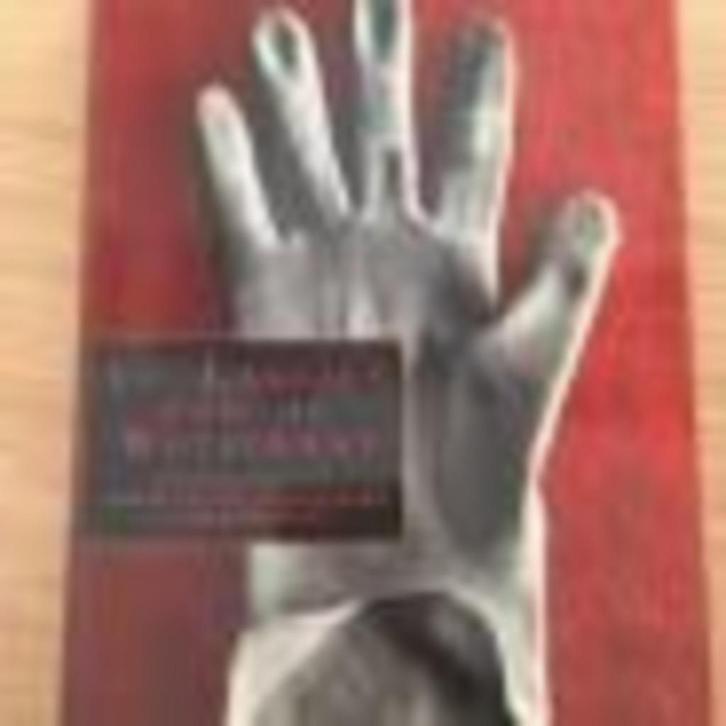 De lakeien van de wetstraat  Daniel Buyle 107 blz, Livres, Politique & Société, Comme neuf, Enlèvement ou Envoi