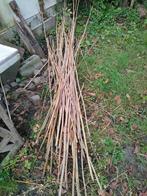 gratis bamboestokken, Tuin en Terras, Ophalen, 180 tot 250 cm, Overige typen